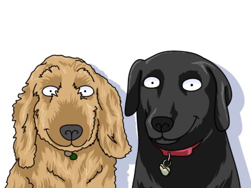 MACH MICH GELB photo review