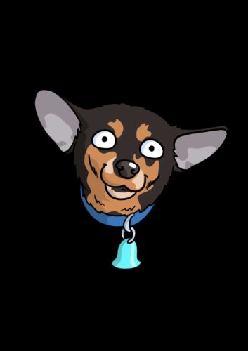 MACH MICH GELB 5 Plus photo review